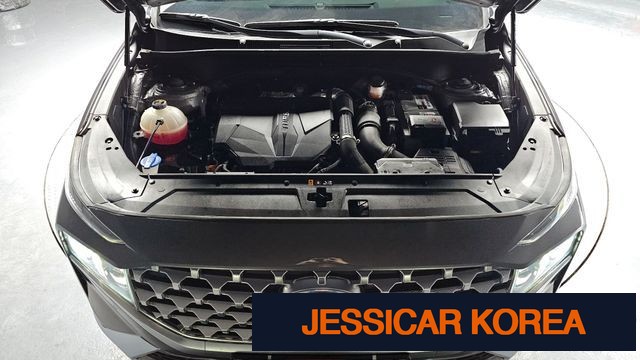 2021 Hyundai The New Santa Fe - Thumbnail 12