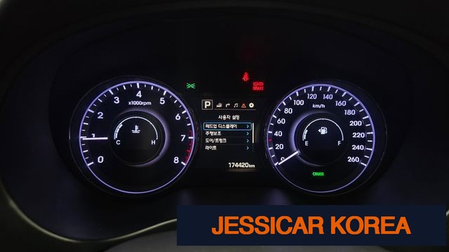 2015 Hyundai aslan - Thumbnail 9