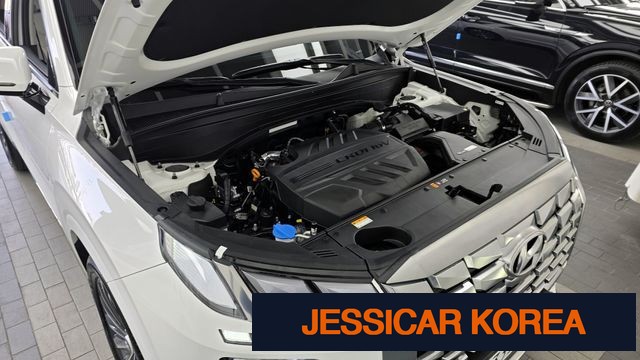 2024 Hyundai The New Palisade - Thumbnail 14