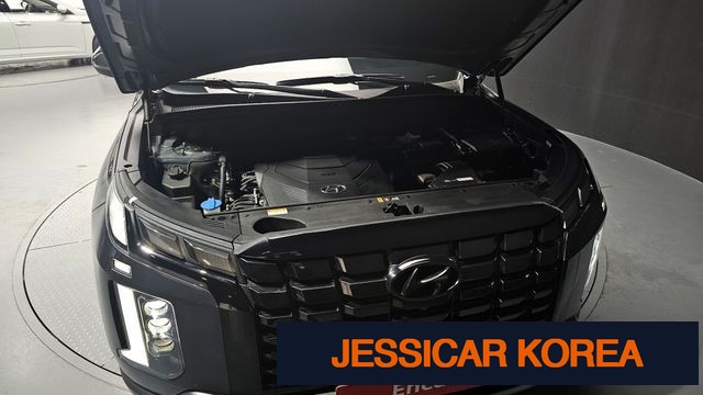 2023 Hyundai The New Palisade - Thumbnail 20