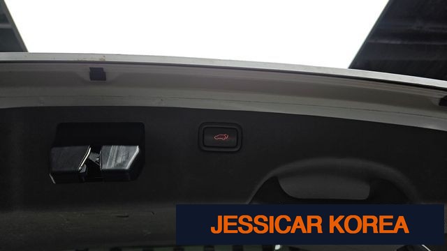 2018 Kia All New Carnival - Thumbnail 20