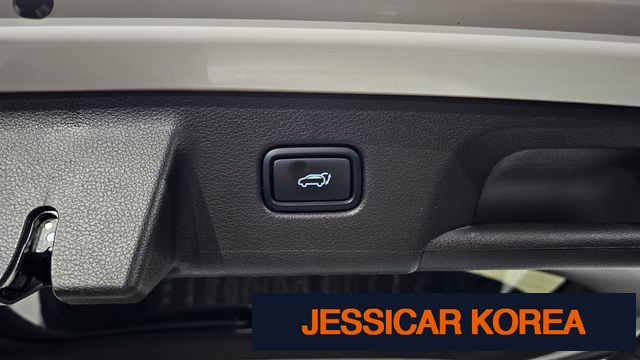 2023 Hyundai The New Palisade - Thumbnail 11