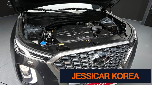 2019 Hyundai Palisade - Thumbnail 9