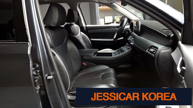 2019 Hyundai Palisade - Thumbnail 12