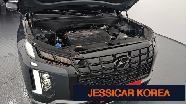2024 Hyundai The New Palisade - Thumbnail 7