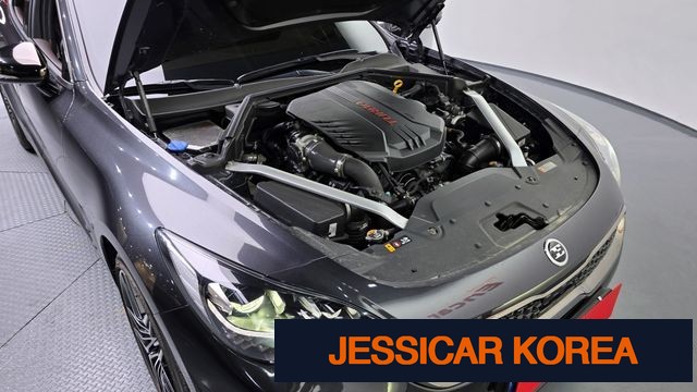 2021 Kia Stinger Meister - Thumbnail 19