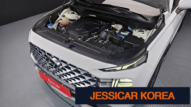 2021 Hyundai The New Santa Fe - Thumbnail 13