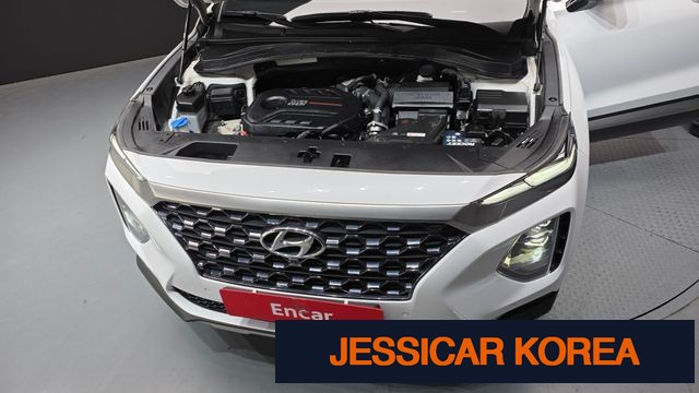 2019 Hyundai Santa Fe TM - Thumbnail 11