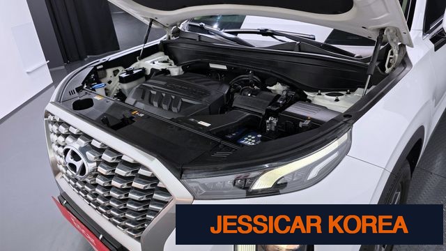 2019 Hyundai Palisade - Thumbnail 19