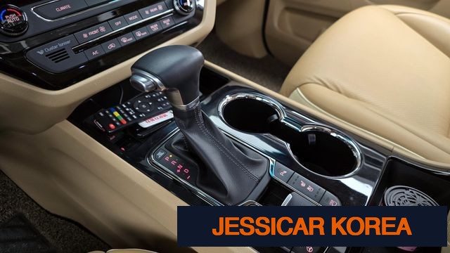 2019 Kia The New Carnival - Thumbnail 18