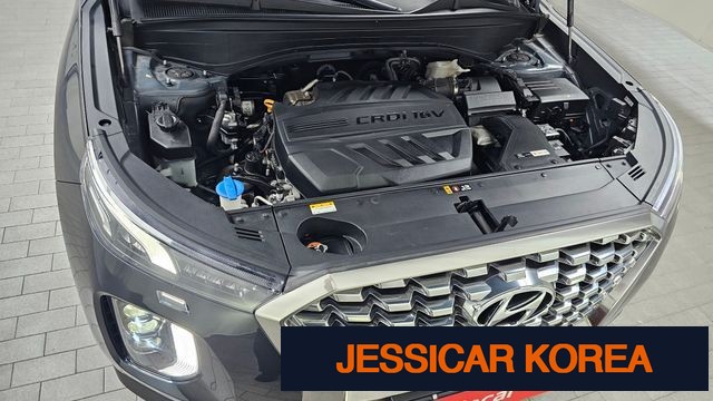 2019 Hyundai Palisade - Thumbnail 6
