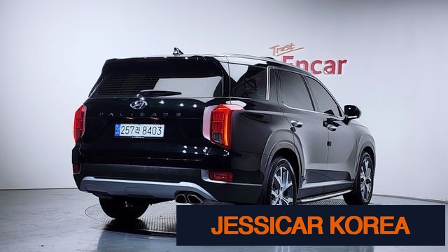 2021 Hyundai Palisade - Thumbnail 10