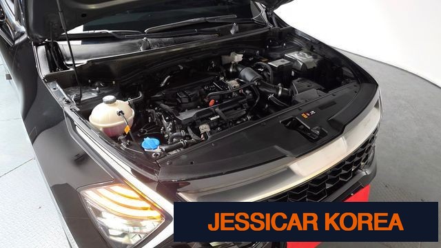 2024 Kia Sportage 5th Gen - Thumbnail 13