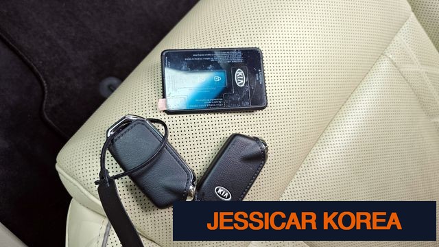 2021 Kia The K9 - Thumbnail 15