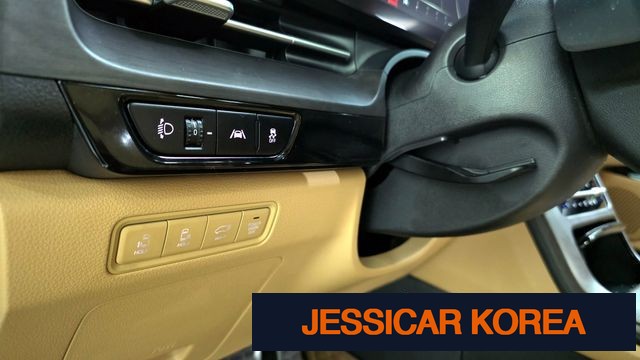 2021 Kia Carnival 4th Gen - Thumbnail 20