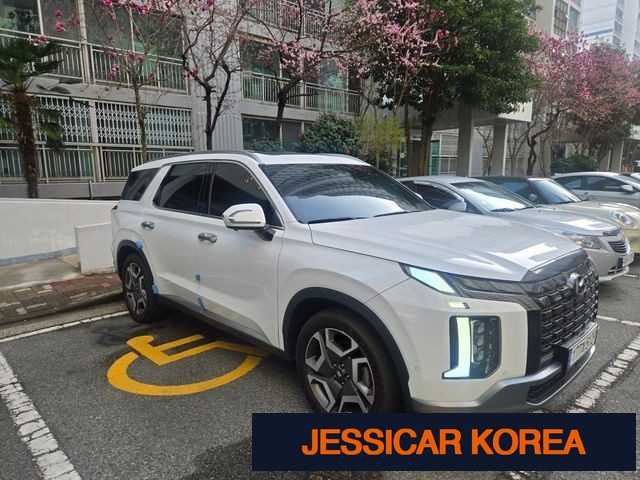 2024 Hyundai The New Palisade - Thumbnail 13
