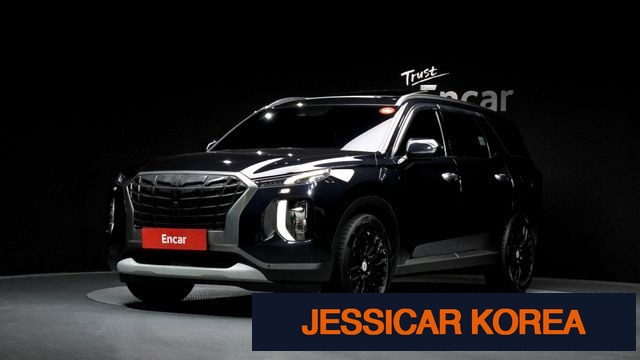 2019 Hyundai Palisade - Thumbnail 3