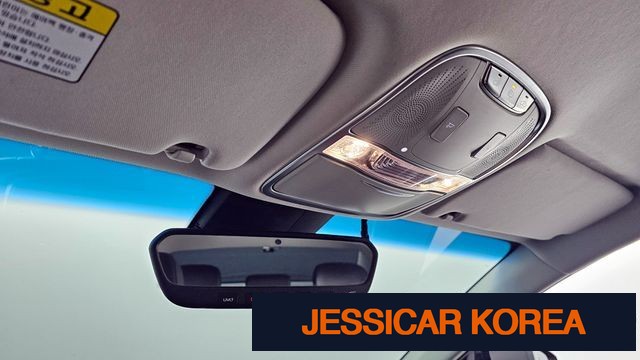 2019 Kia The K9 - Thumbnail 20