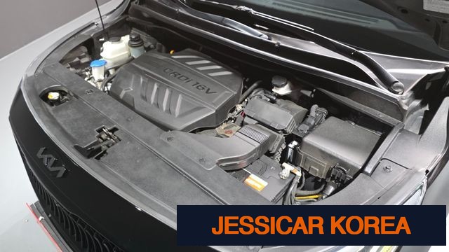 2019 Kia The New Carnival - Thumbnail 3