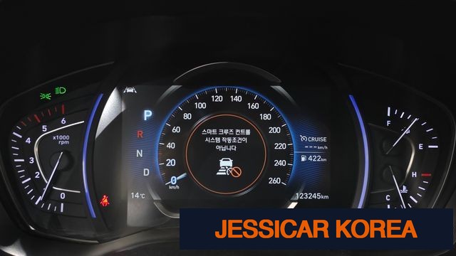 2019 Hyundai Santa Fe TM - Thumbnail 19