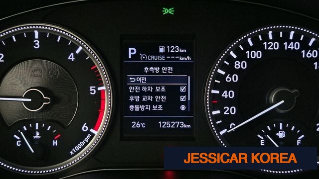 2019 Hyundai Santa Fe TM - Thumbnail 10